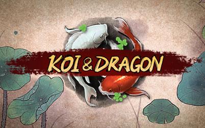 Koi and Dragon